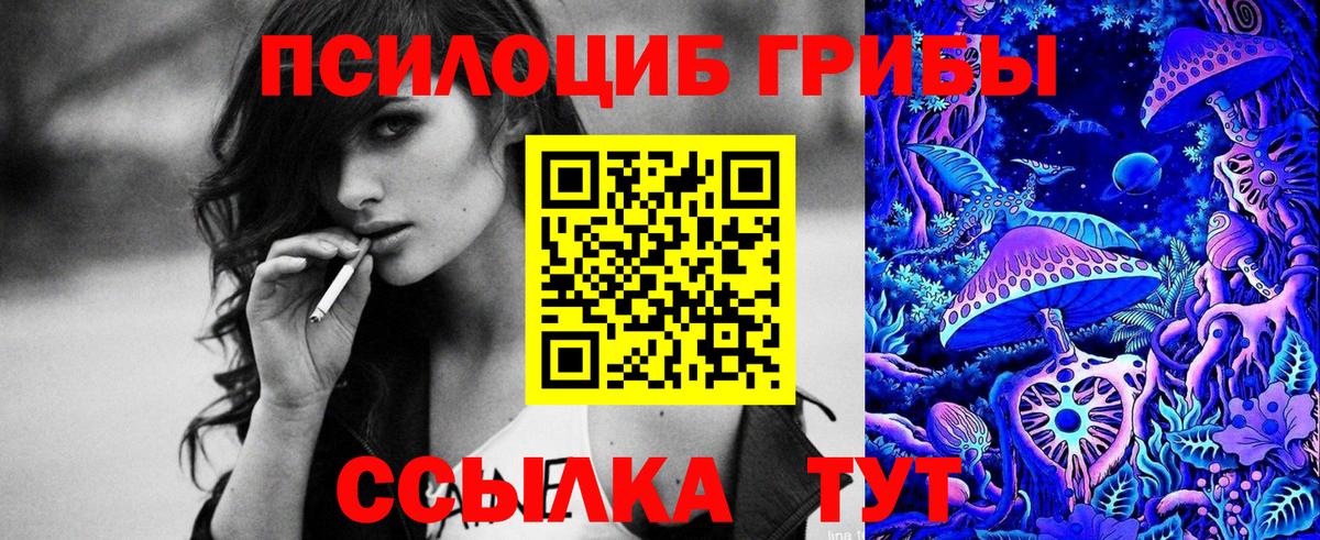 дарнет шоп  Псилоцибиновые грибы Cubensis  Вход с VPN  Воркута 
